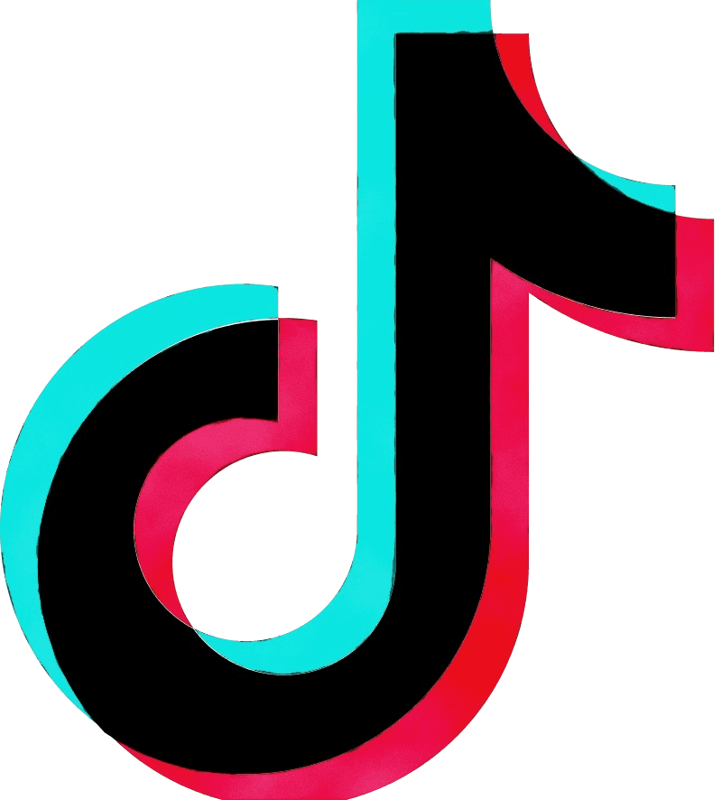 TikTok icon